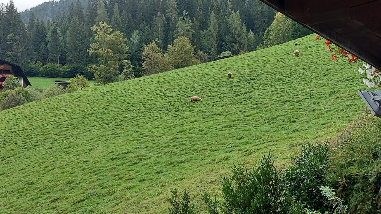 Appartements Zellner Alpbach Kültér fotó